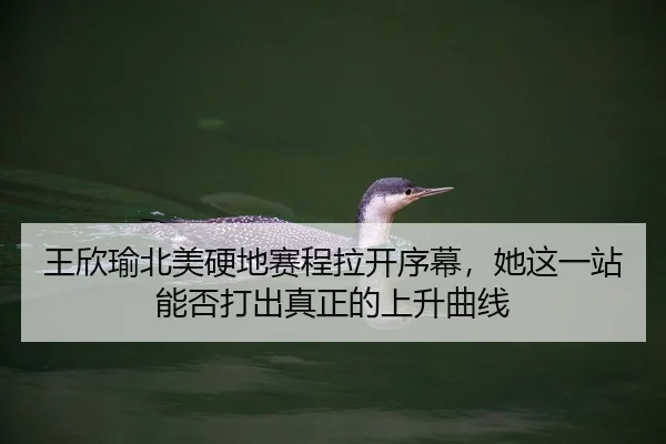 王欣瑜北美硬地赛程拉开序幕，她这一站能否打出真正的上升曲线 | Tencent Sports